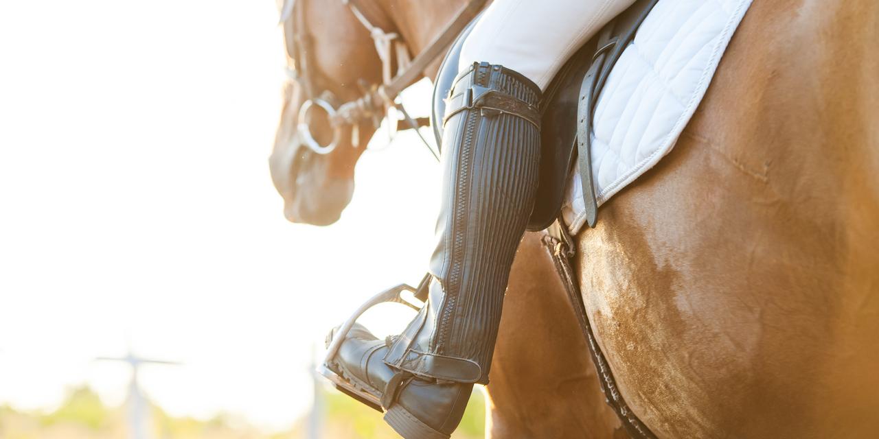 A new treatment for osteoarthritis in horses and potentially humans University of Gothenburg